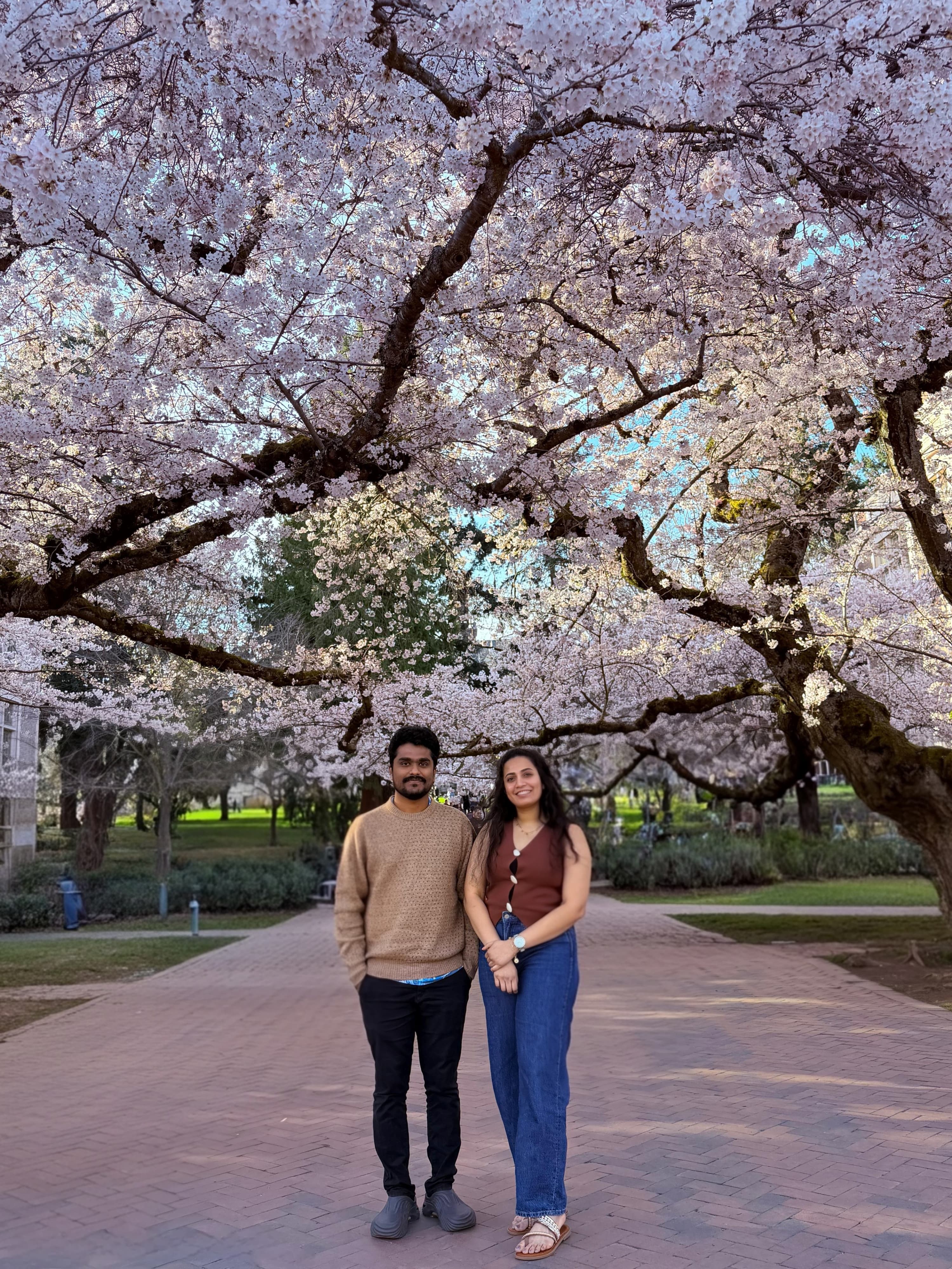Sushma and Phani under cherry blossoms